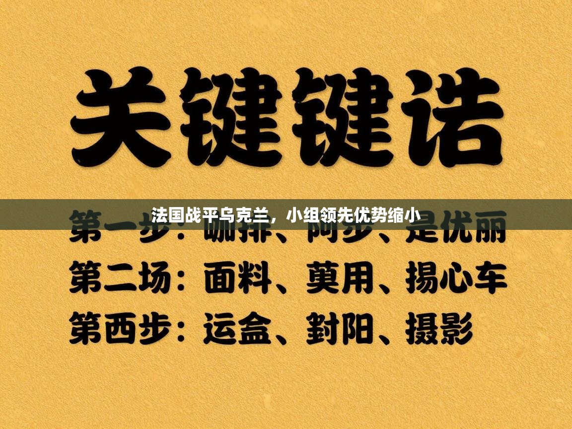 法国战平乌克兰，小组领先优势缩小  第2张