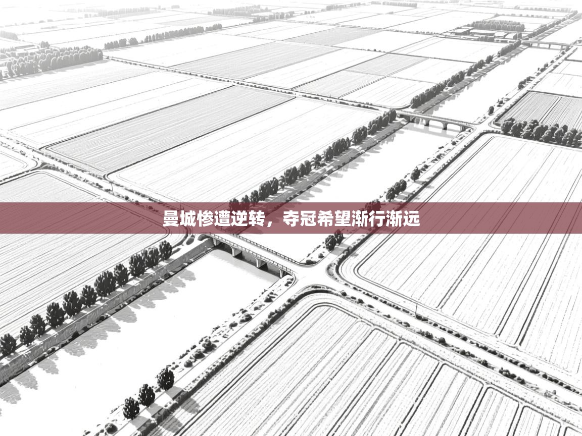 曼城惨遭逆转，夺冠希望渐行渐远  第2张