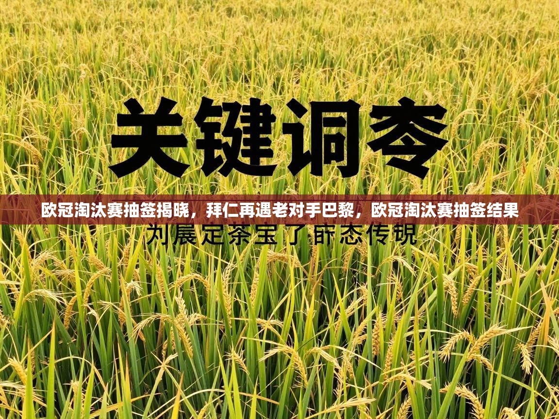 欧冠淘汰赛抽签揭晓，拜仁再遇老对手巴黎，欧冠淘汰赛抽签结果  第2张